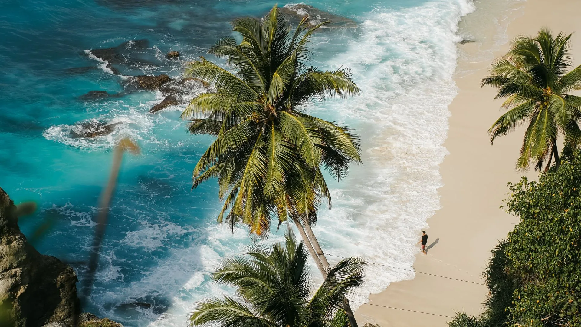 The new studyinbali.com is live