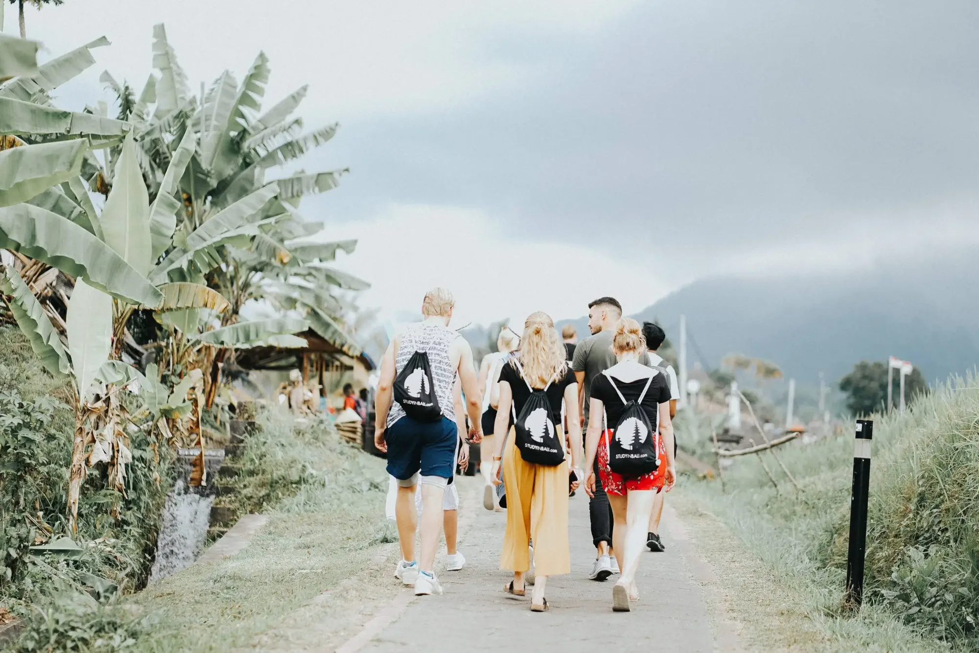 StudyInBali students on a field trip at the Jatiluwih rice terraces, a UNESCO World Heritage Site in Bali